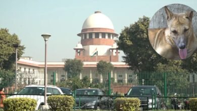Supreme Court on Stray Dogs
